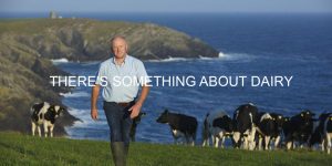 Irish Dairy Board